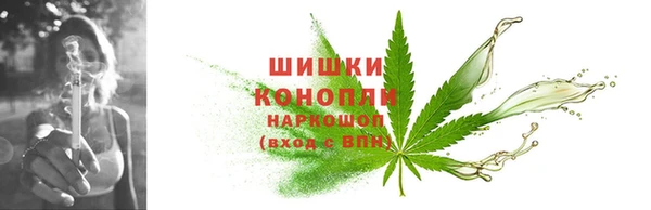 дмт Пестово