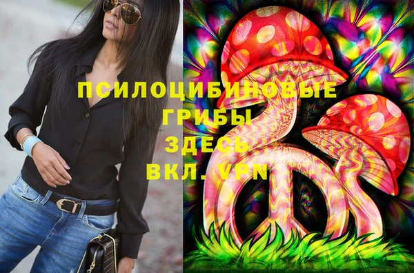 скорость Алексин
