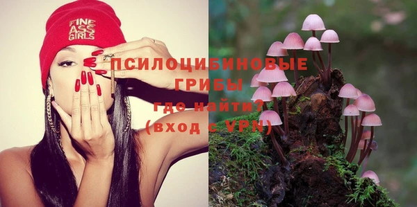 ГАЛЛЮЦИНОГЕННЫЕ ГРИБЫ Алексеевка