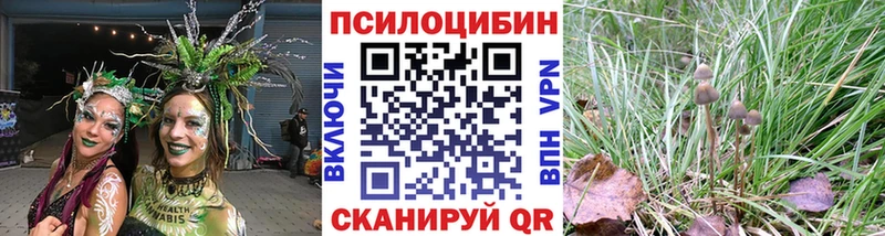 Галлюциногенные грибы ЛСД Нытва