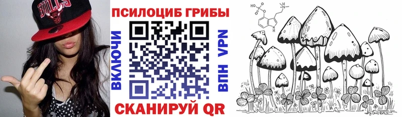 Галлюциногенные грибы Psilocybe  Нытва 
